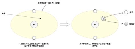 スヘンス線|ラジエーション サプリ